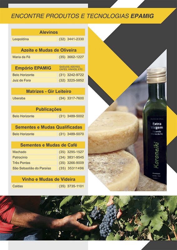 Informações EPAMIG 2