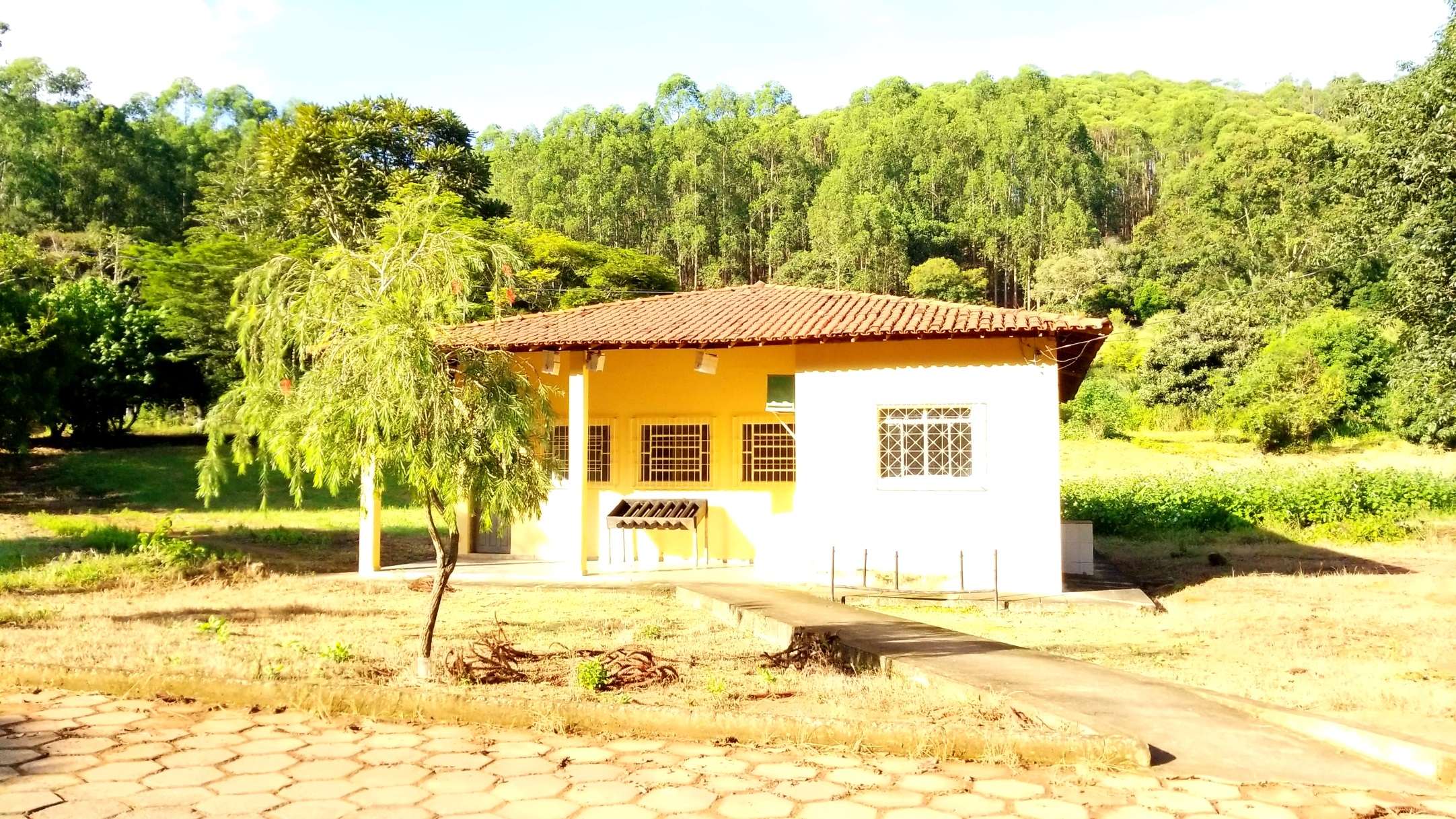 apicultura