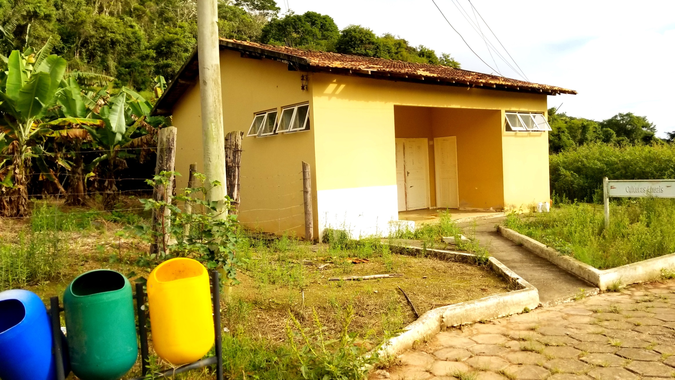 culturas anuais