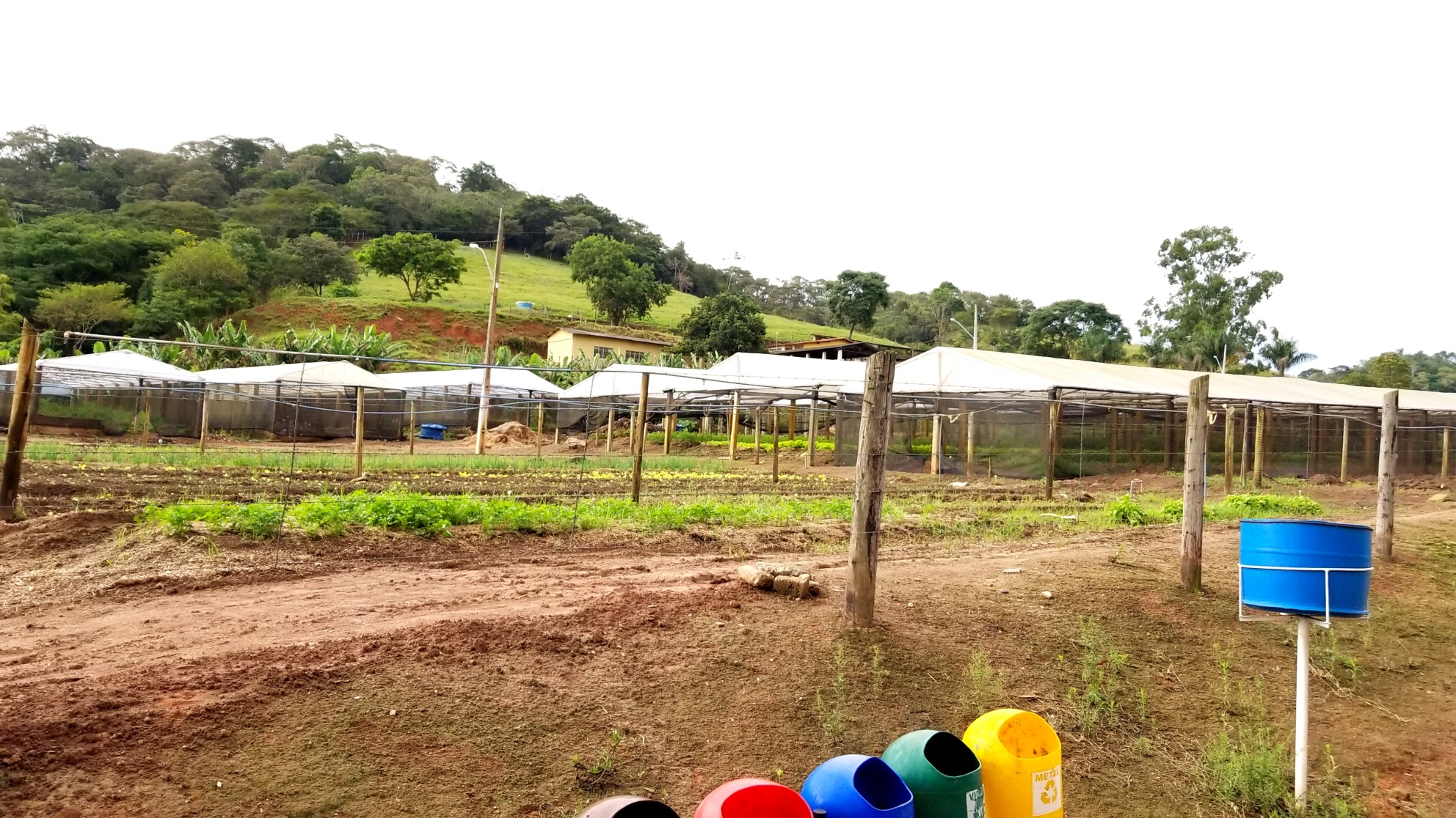horticultura 