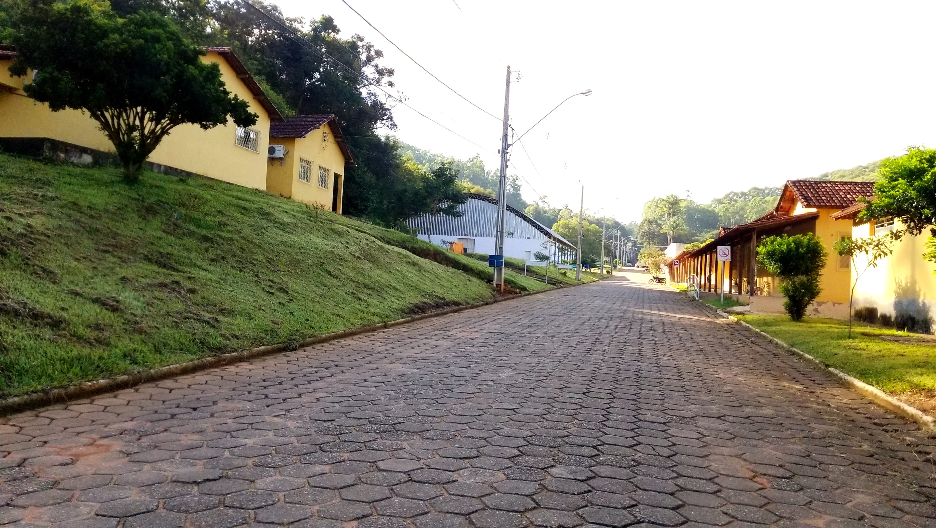 secretaria cere napnee copex