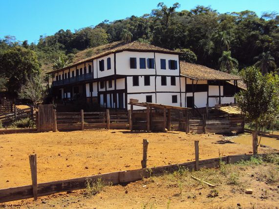 imagem4