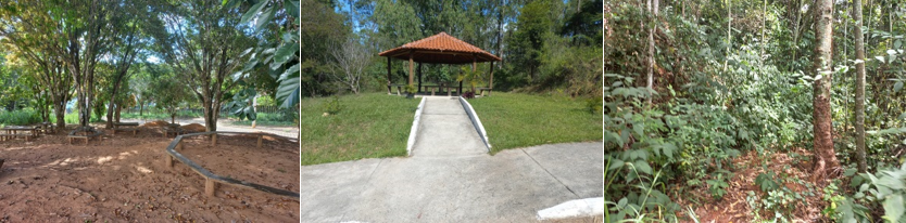 campo2