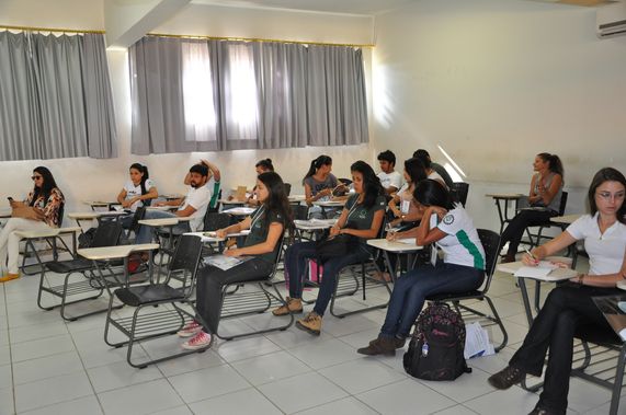 arborizacao cemig 6