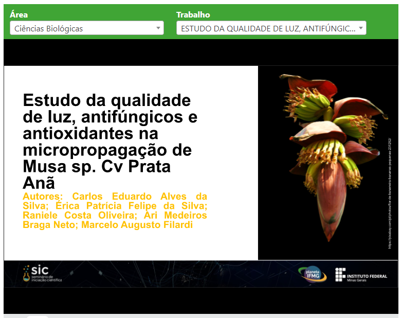 sic cbio pesquisa