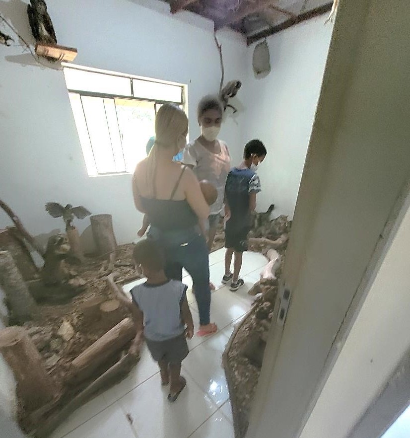 museu zoologia 3