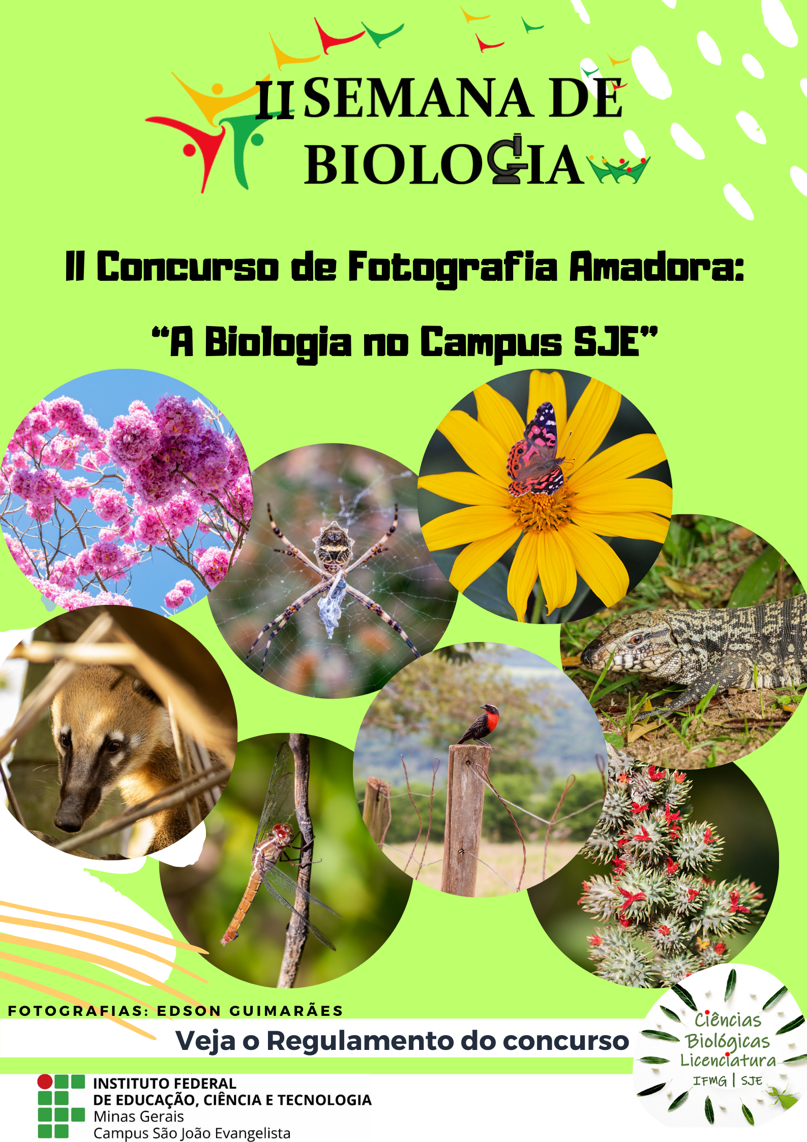 Concurso Fotografias