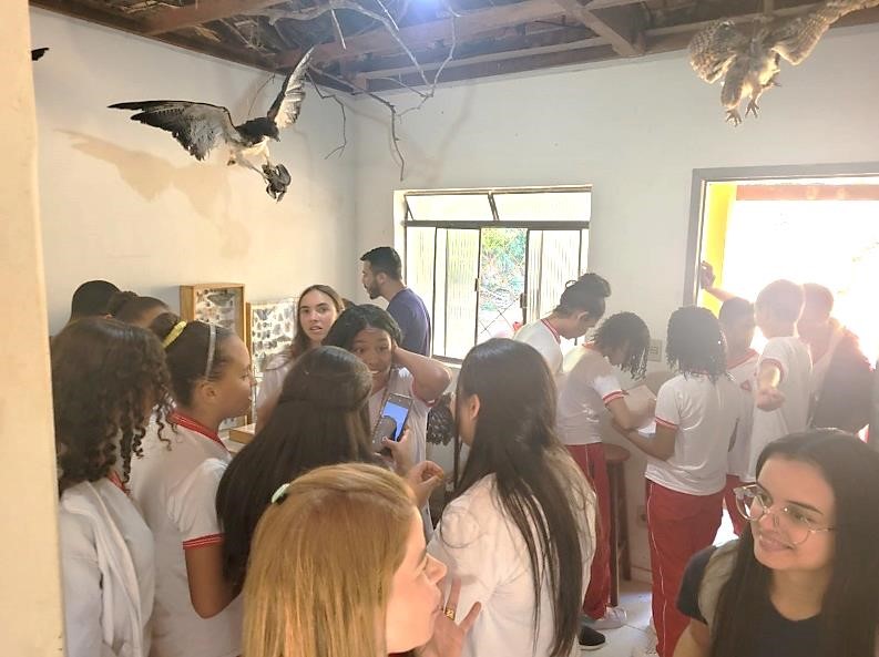 visita museu zoologia