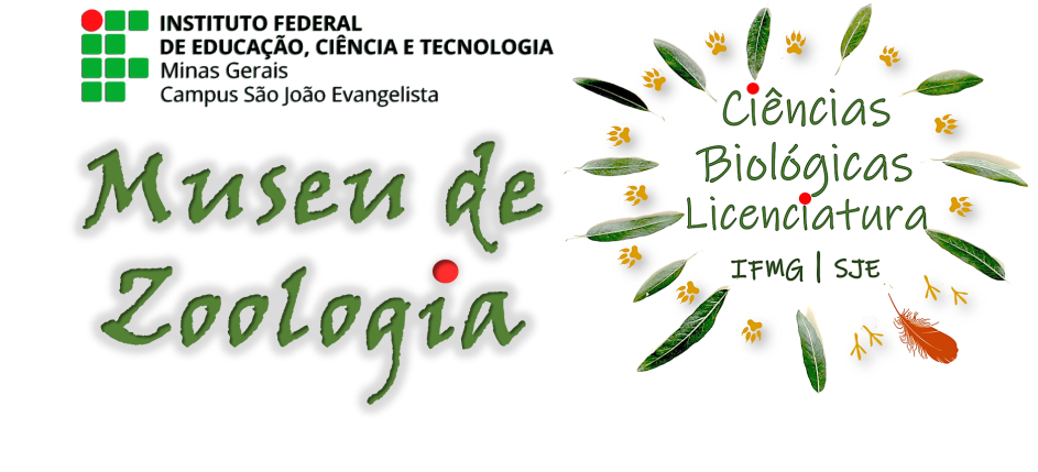 visita cantagalo museu 10