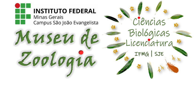 Museu de Zoologia
