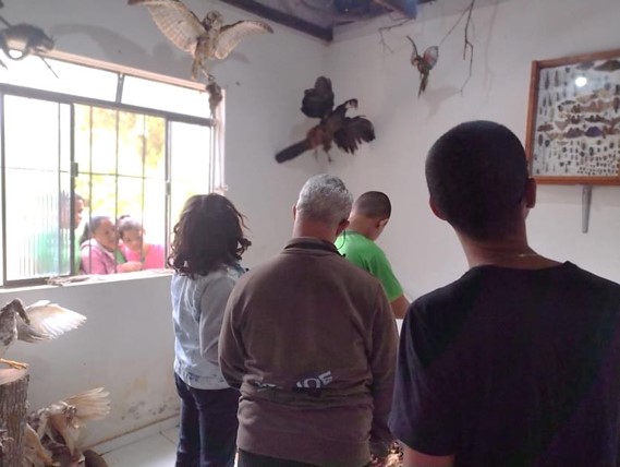 Visitantes da APAE em um dos espaços do Museu de Zoologia do IFMG-SJE. Foto: Márcio Souza.