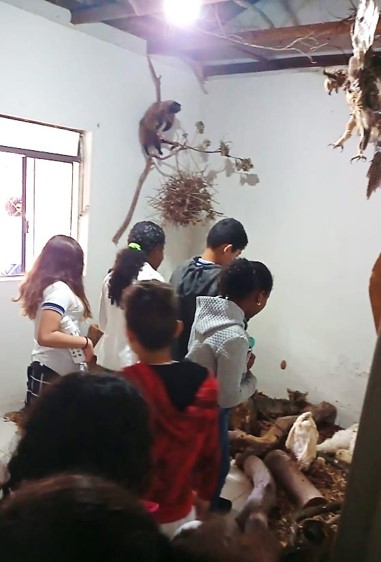monsr pinheiro museu