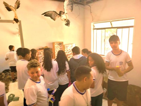 monsr pinheiro museu