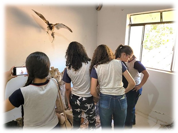 escola cantagalo 5