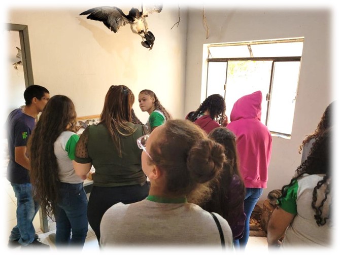 escola materlandia 3