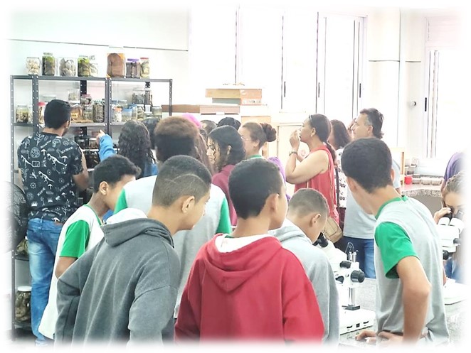 escola materlandia 5
