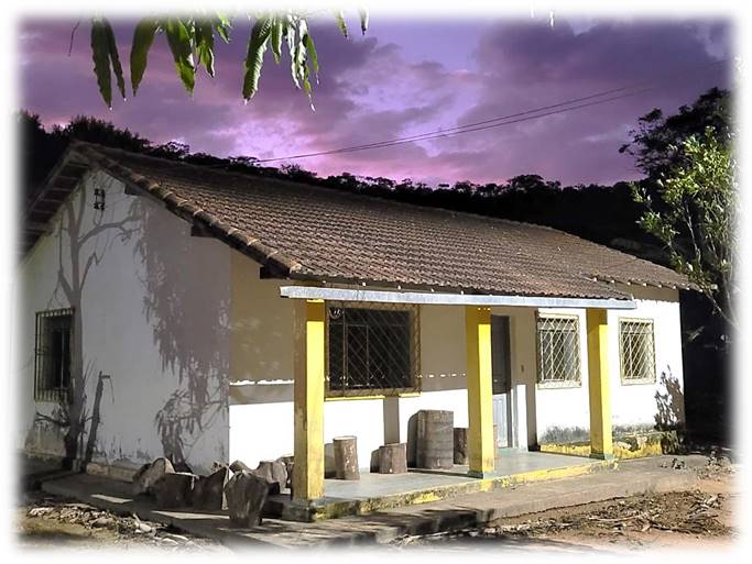 museo de biologia visitas apresentacao