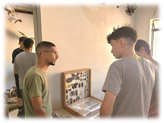 agro museu 3