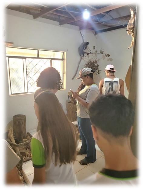 agro museu 7