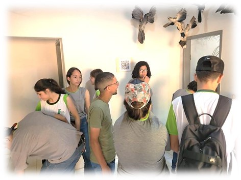 agro museu 8