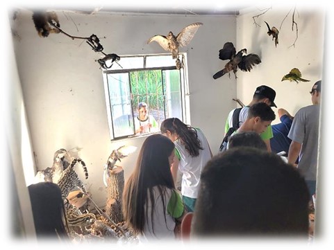 agro museu 9