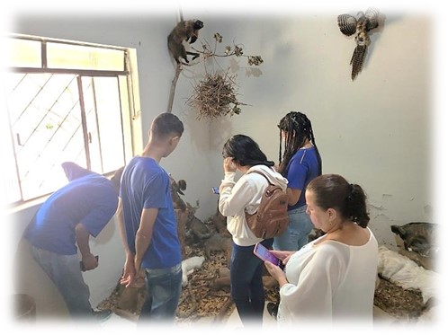 museu santos carv 5