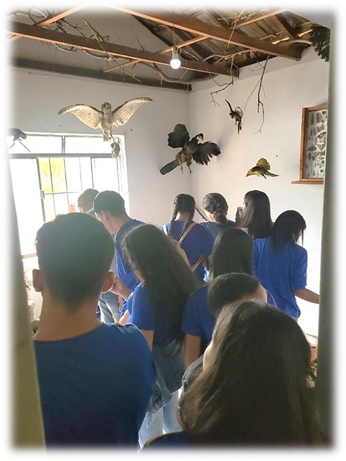 museu santos carv 7