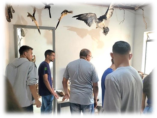 museu santos carv 8