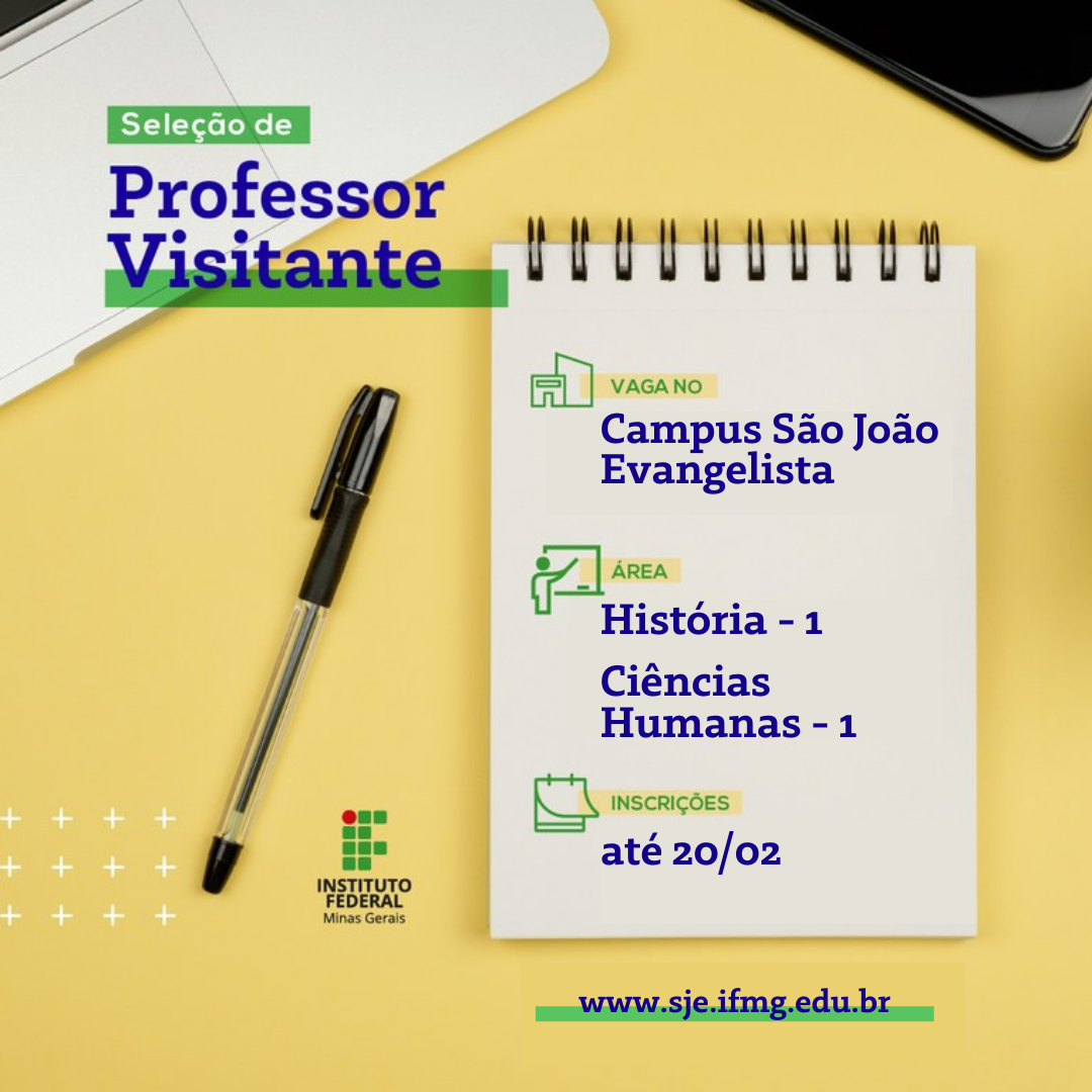 Professor visitante