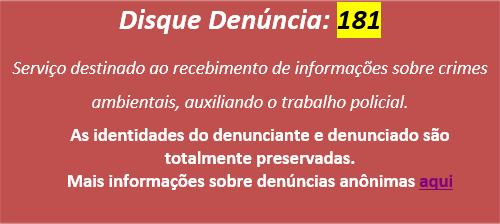 denúncia
