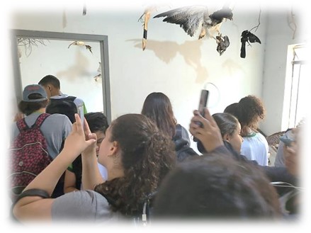 agro11