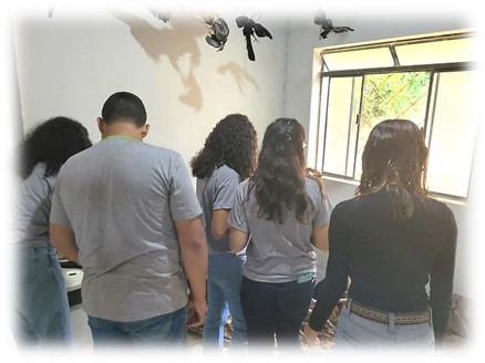 agro12
