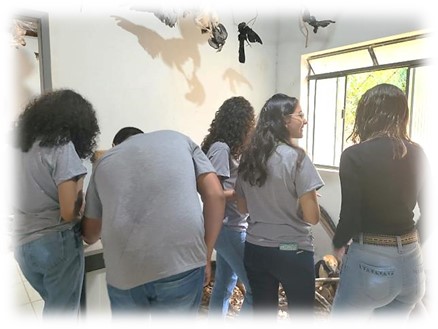 agro14