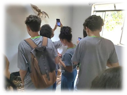 agro7