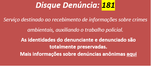 denuncia