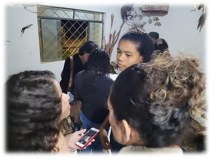 bio museu1