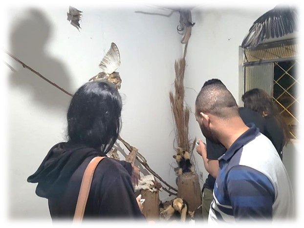 bio museu10