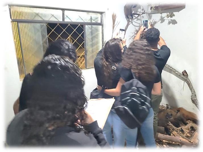 bio museu4