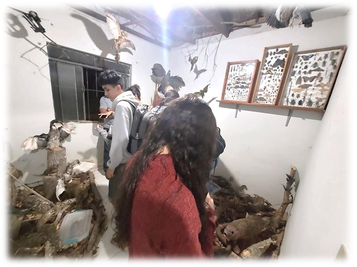 bio museu5