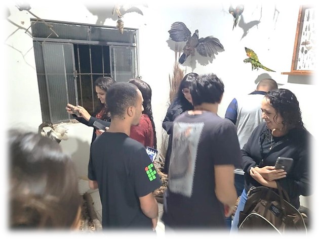 bio museu9