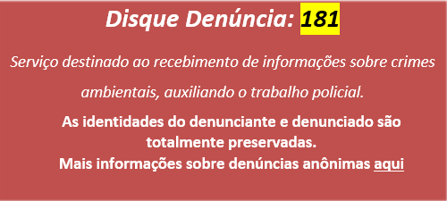 denuncia