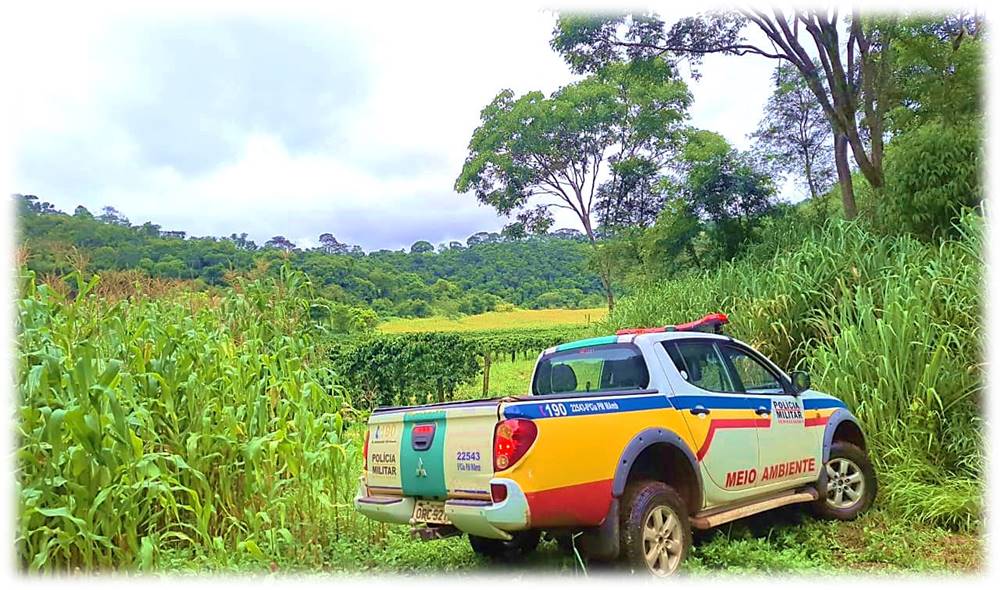 pm ambiental