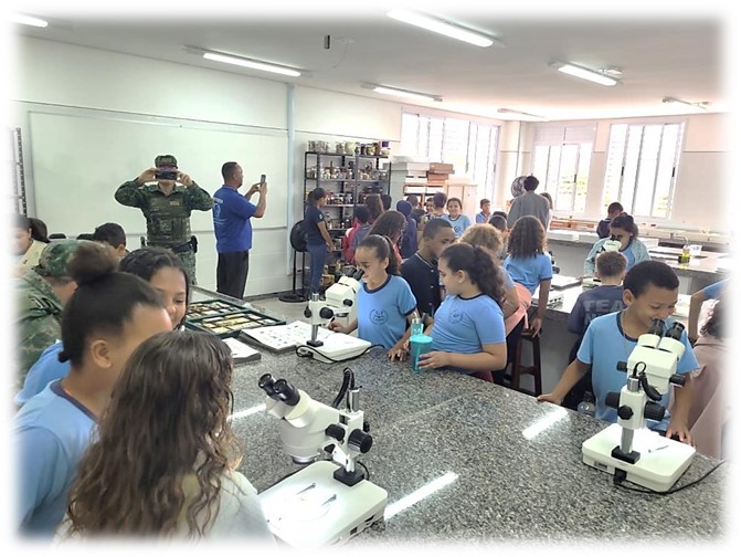Imagem9