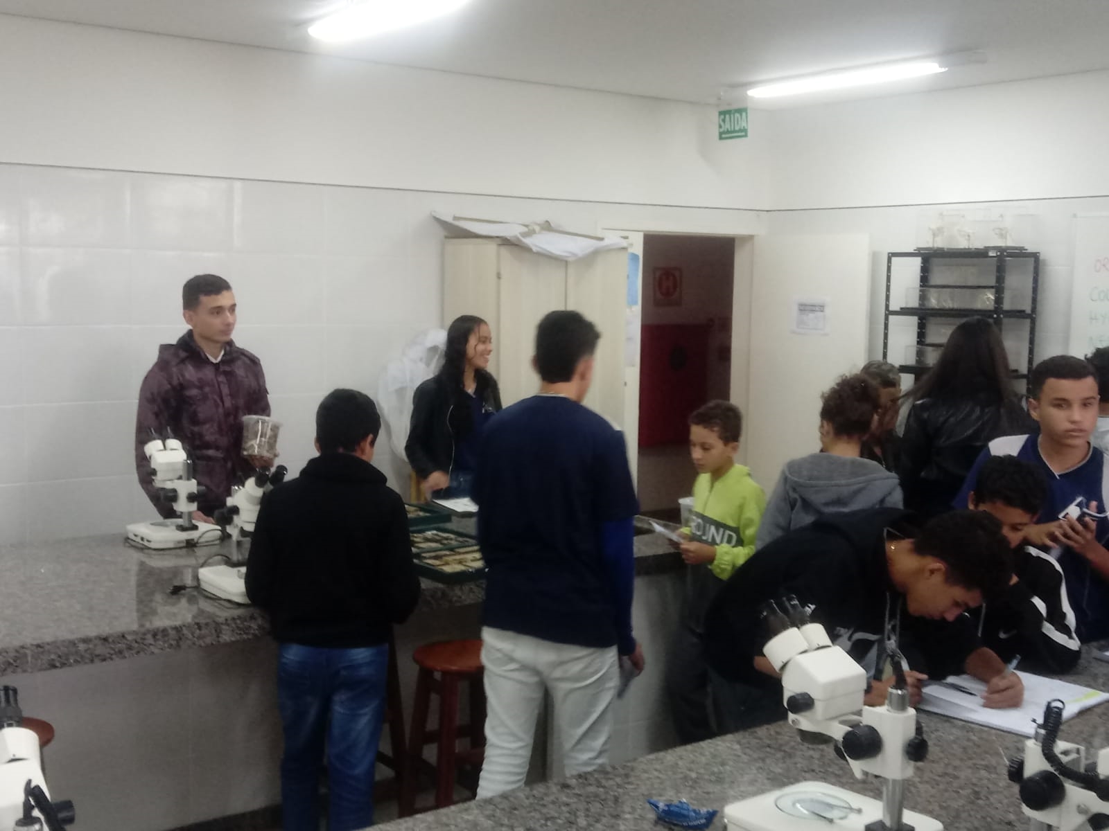 visita 4