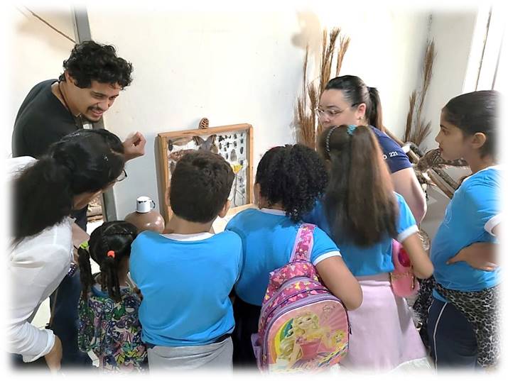 Imagem2