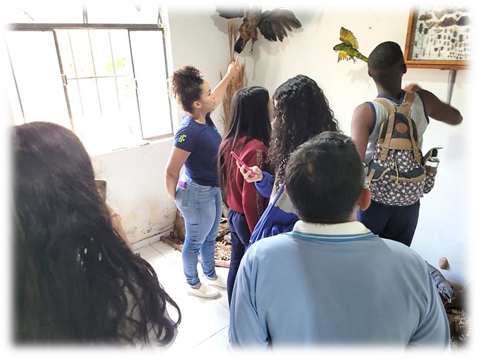 museu sps3