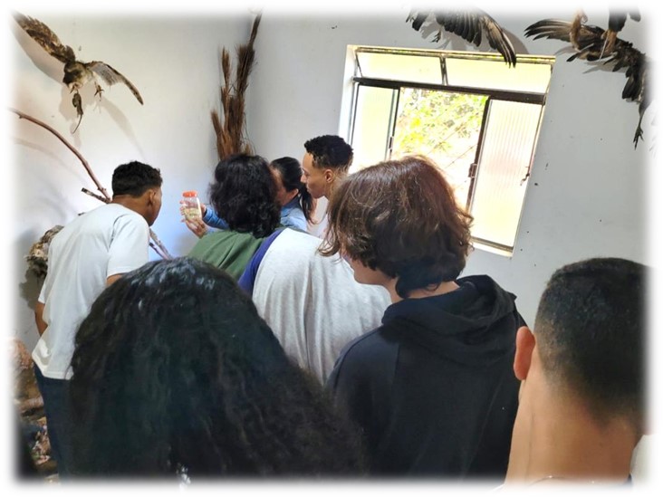 museu sps5