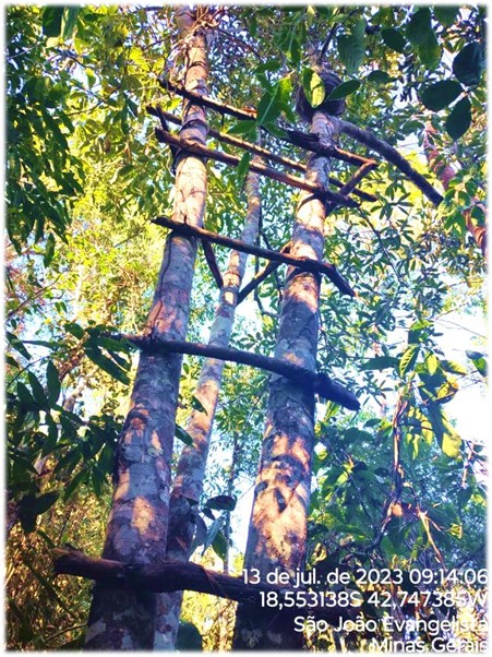 Imagem3