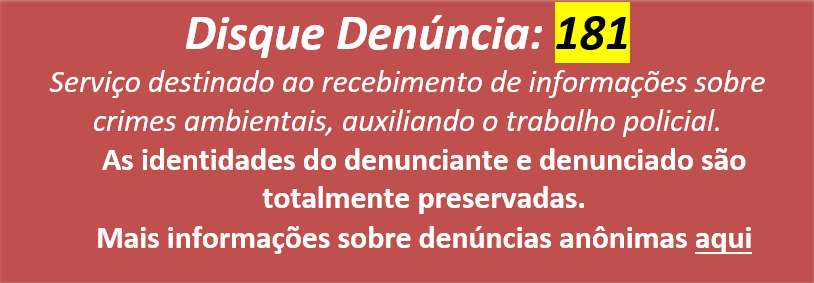 disque