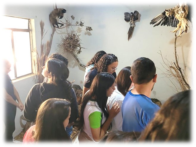 nutri museu 2